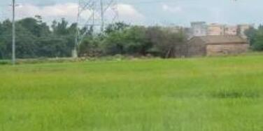 如何看待挑戰與機遇這一雙刃劍般的存在